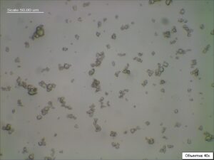 Diazepam